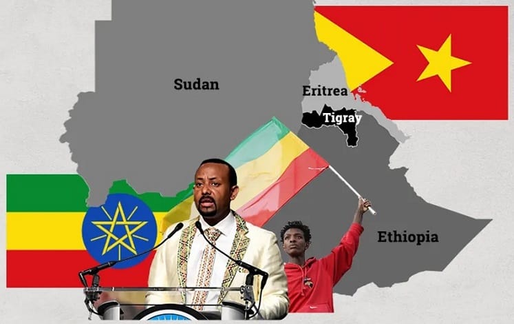 Reporting on the current situation in Ethiopia-Critical Remarks